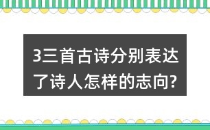 3、三首古詩(shī)分別表達(dá)了詩(shī)人怎樣的志向?表達(dá)的方法有什么共同特點(diǎn)?