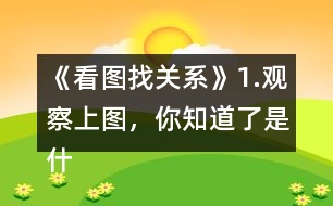 《看圖找關系》1.觀察上圖，你知道了是什么？