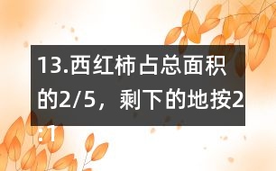 13.西紅柿占總面積的2/5，剩下的地按2:1的比種黃瓜和茄子。