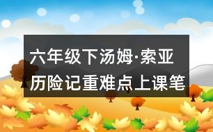 六年級下湯姆·索亞歷險(xiǎn)記重難點(diǎn)上課筆記