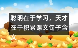 聰明在于學習，天才在于積累課文句子含義分析