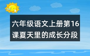 六年級(jí)語文上冊(cè)第16課夏天里的成長(zhǎng)分段與段落大意