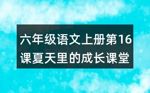 六年級語文上冊第16課夏天里的成長課堂筆記本課知識點