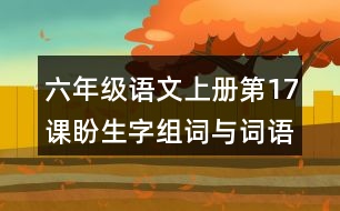 六年級語文上冊第17課盼生字組詞與詞語理解