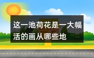 這一池荷花是“一大幅活的畫”從哪些地方體會到