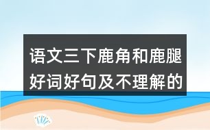 語文三下鹿角和鹿腿好詞好句及不理解的詞語