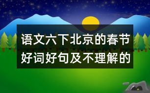 語文六下北京的春節(jié)好詞好句及不理解的詞語