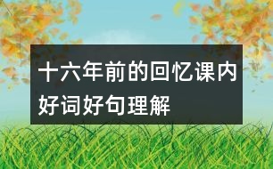 十六年前的回憶課內(nèi)好詞好句理解