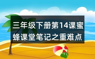 三年級(jí)下冊(cè)第14課蜜蜂課堂筆記之重難點(diǎn)歸納