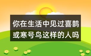 你在生活中見(jiàn)過(guò)喜鵲或寒號(hào)鳥這樣的人嗎