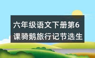 六年級語文下冊第6課騎鵝旅行記節(jié)選生字注音組詞