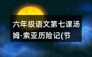 六年級語文第七課湯姆·索亞歷險(xiǎn)記(節(jié)選)生字組詞