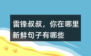 雷鋒叔叔，你在哪里新鮮句子有哪些