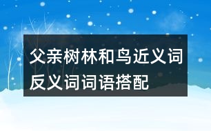 父親、樹林和鳥近義詞反義詞詞語搭配