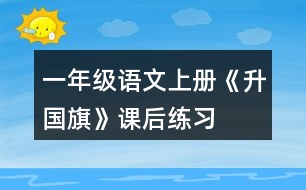 一年級(jí)語(yǔ)文上冊(cè)《升國(guó)旗》課后練習(xí)