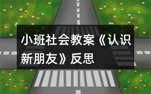 小班社會(huì)教案《認(rèn)識(shí)新朋友》反思