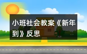 小班社會(huì)教案《新年到》反思