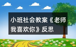 小班社會教案《老師我喜歡你》反思