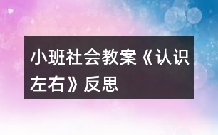 小班社會教案《認識左右》反思