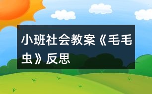 小班社會教案《毛毛蟲》反思