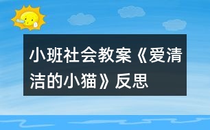 小班社會教案《愛清潔的小貓》反思