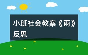 小班社會教案《雨》反思