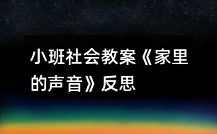 小班社會教案《家里的聲音》反思