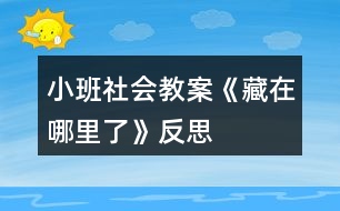 小班社會教案《藏在哪里了》反思