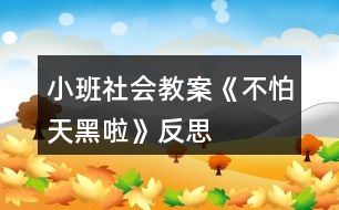 小班社會教案《不怕天黑啦》反思