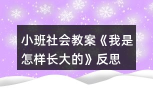 小班社會(huì)教案《我是怎樣長(zhǎng)大的》反思