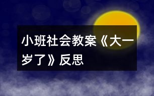 小班社會(huì)教案《大一歲了》反思