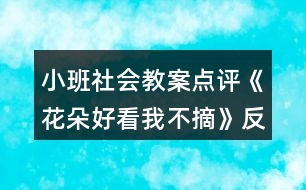 小班社會(huì)教案點(diǎn)評(píng)《花朵好看我不摘》反思