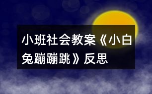 小班社會(huì)教案《小白兔蹦蹦跳》反思