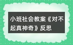 小班社會(huì)教案《對(duì)不起真神奇》反思