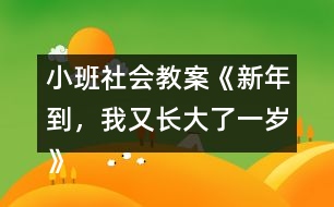 小班社會教案《新年到，我又長大了一歲》反思