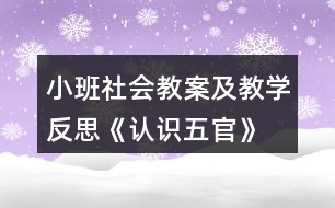 小班社會教案及教學(xué)反思《認識五官》