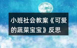 小班社會教案《可愛的蔬菜寶寶》反思