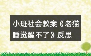 小班社會(huì)教案《老貓睡覺(jué)醒不了》反思