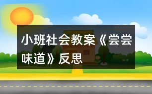 小班社會(huì)教案《嘗嘗味道》反思