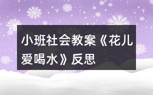 小班社會教案《花兒愛喝水》反思