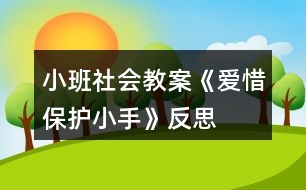 小班社會教案《愛惜、保護(hù)小手》反思