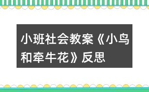 小班社會(huì)教案《小鳥和牽牛花》反思