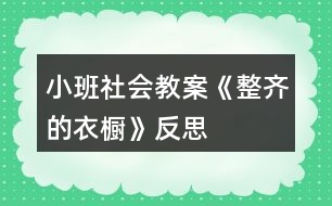 小班社會(huì)教案《整齊的衣櫥》反思