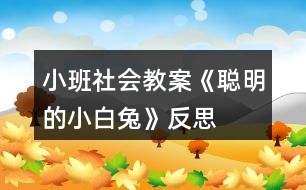 小班社會教案《聰明的小白兔》反思