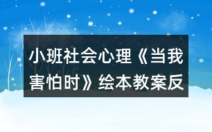 小班社會心理《當(dāng)我害怕時(shí)》繪本教案反思