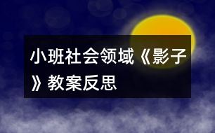 小班社會領(lǐng)域《影子》教案反思