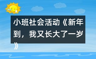 小班社會活動《新年到，我又長大了一歲》教學(xué)設(shè)計反思