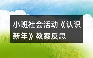 小班社會活動《認(rèn)識新年》教案反思