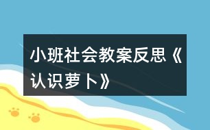 小班社會教案反思《認(rèn)識蘿卜》