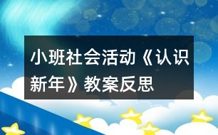 小班社會活動《認識新年》教案反思